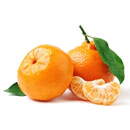 Mandarinka (Citrus reticulata)